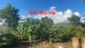 MỞ BÁN LÔ ĐẤT F0 SIÊU PHẨM , ĐẤT NGHỈ DƯỠNG TẠI ĐẠI ĐÌNH – TAM ĐẢO VĨNH PHÚC